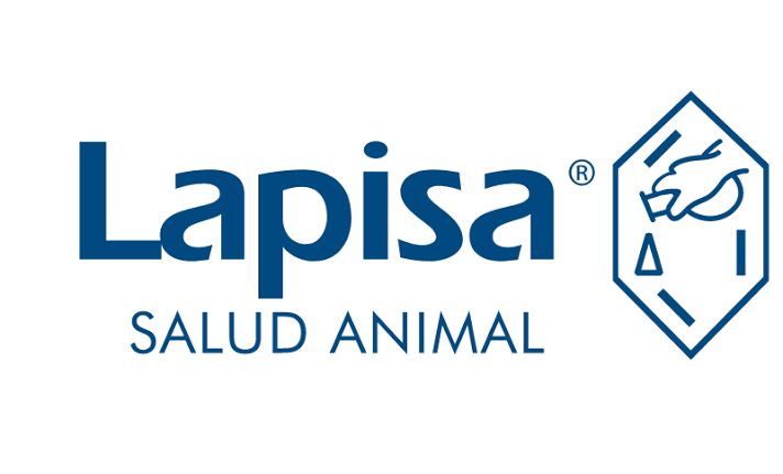 LAPISA